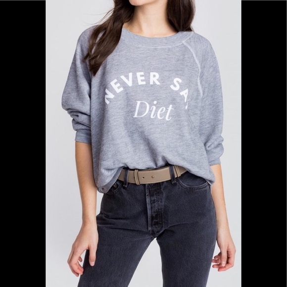 Wildfox never say diet sommer’s sweater grey xs - Picture 1 of 2